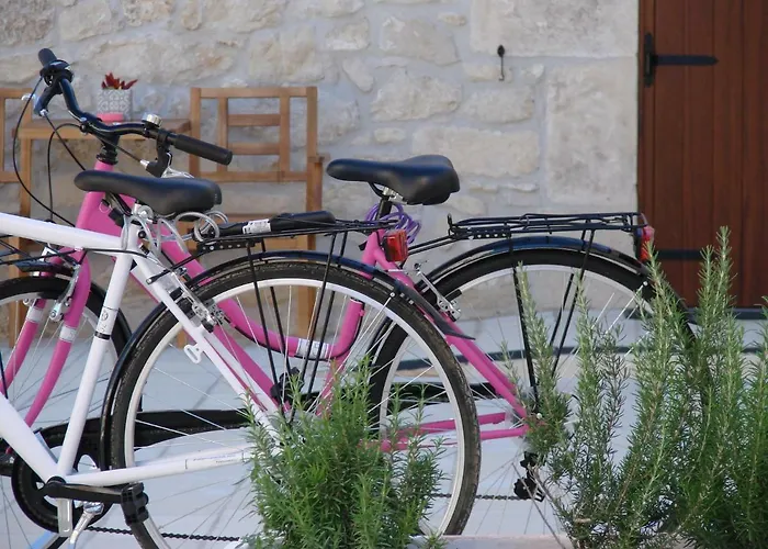 Kinanto Bioresort אתר נופש